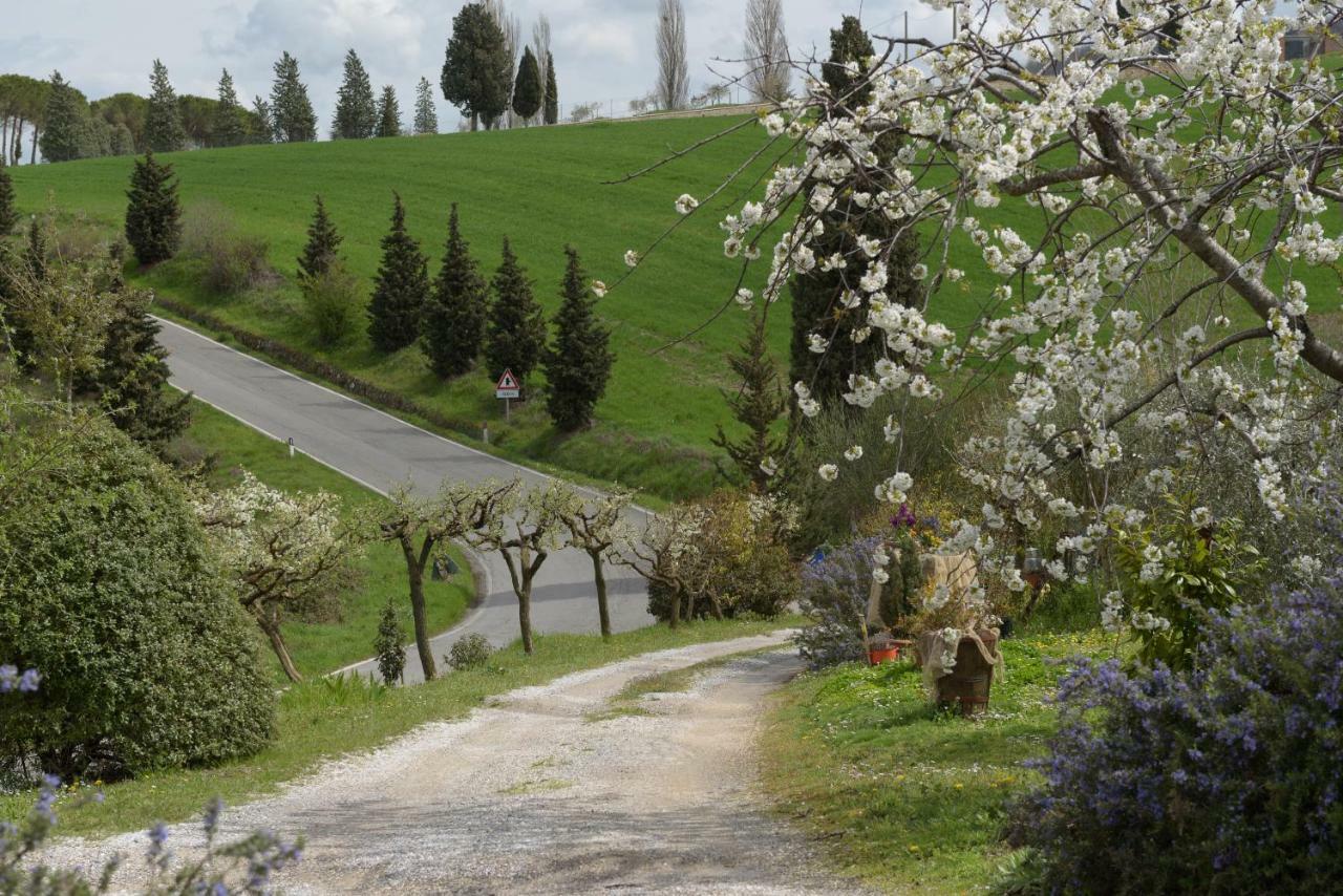 Agriturismo Campo Alla Piana Monticchiello Exterior foto