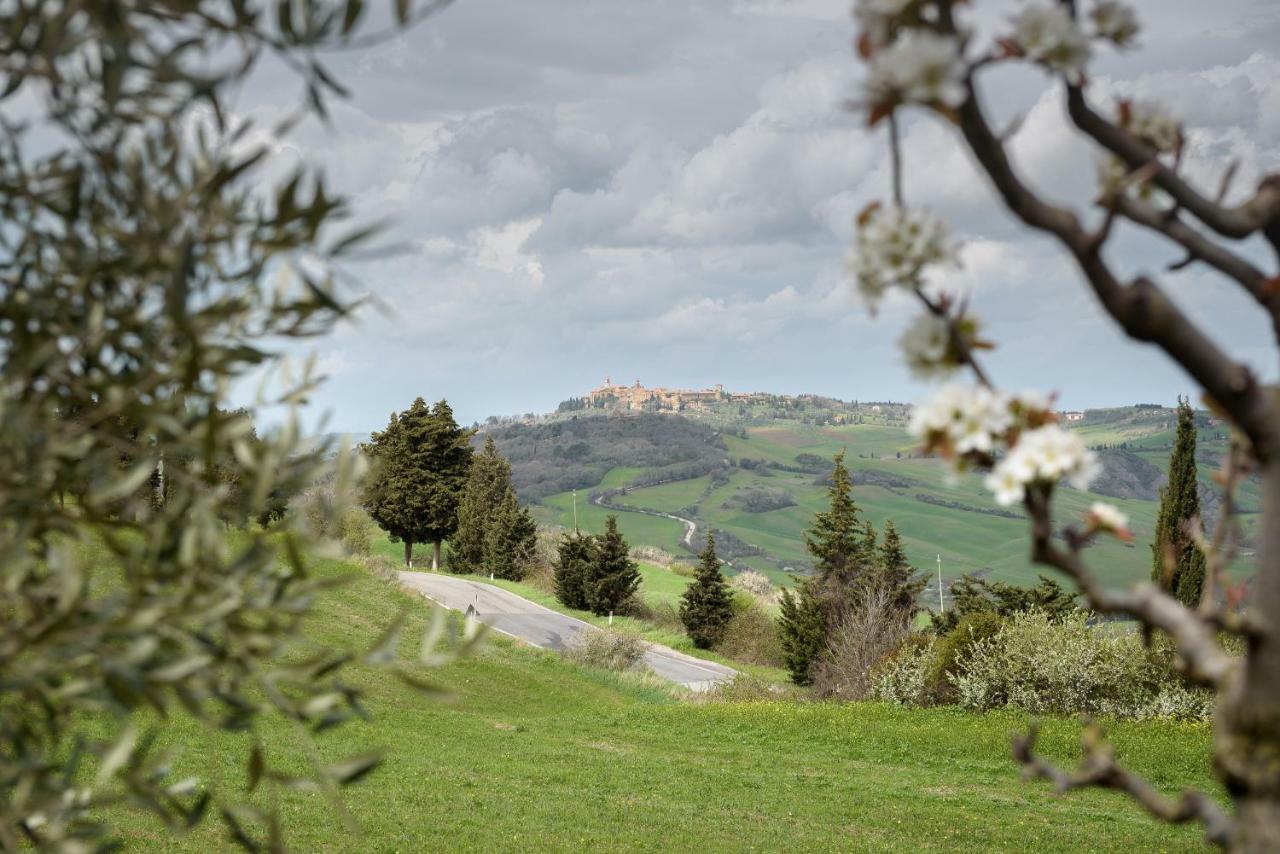 Agriturismo Campo Alla Piana Monticchiello Exterior foto